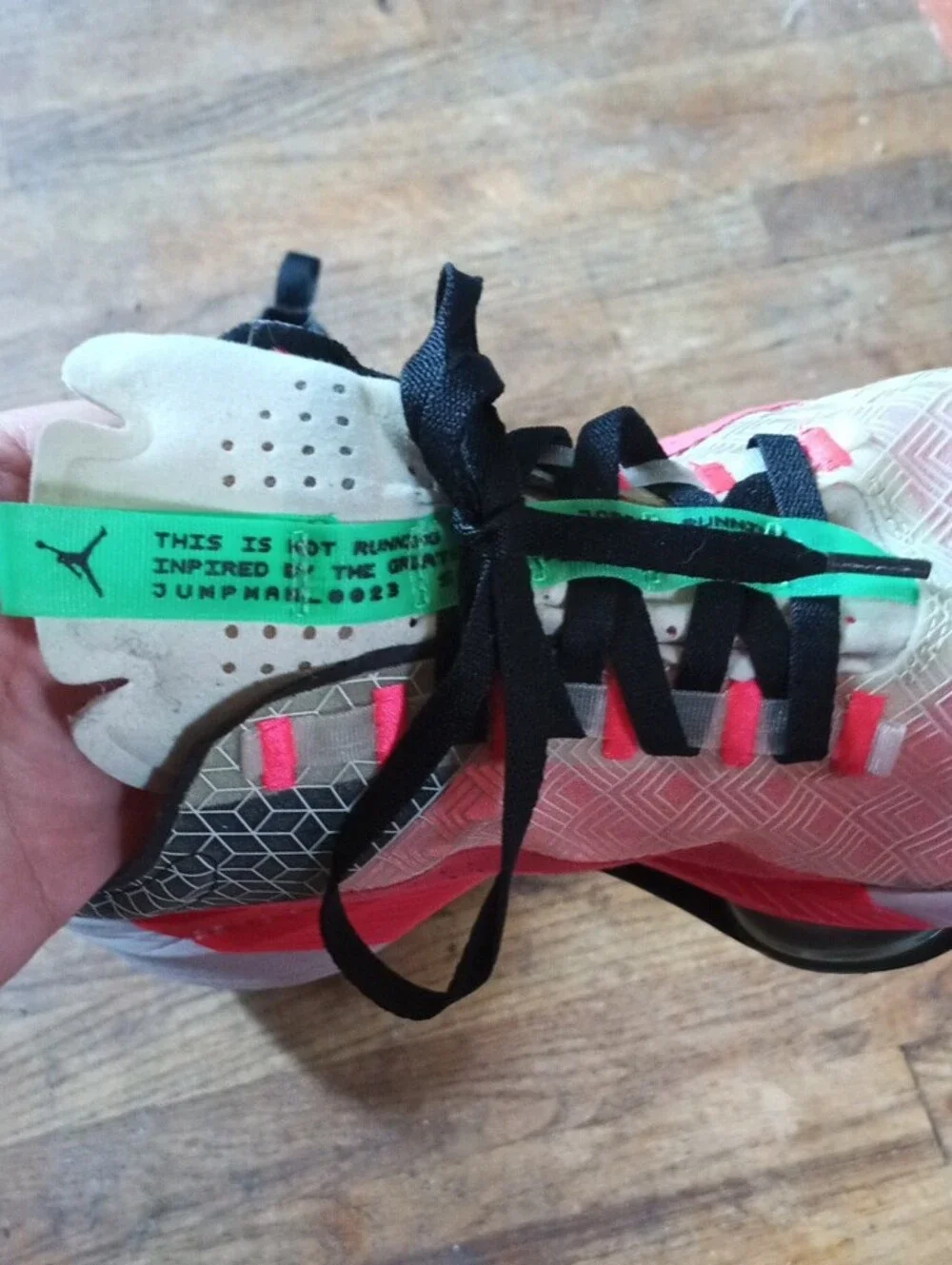 Jordan Air Zoom Renegade Shoes